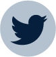 Twitter icon